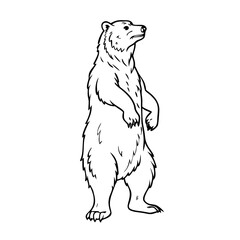 Bear Standing Wild Animal Outline Vector Illustration