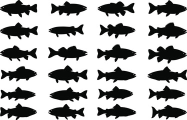 Black fish silhouette vector, marine animal icon set, aquatic species illustration, taxonomy reference, ocean wildlife pattern, editable grouped elements