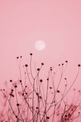 Silhouettes of delicate, dried plants against a soft, pastel pink backdrop, featuring a prominent, light-colored sun; a tranquil and serene image.