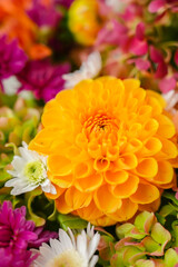 Autumn garden colorful flowers. Beautiful autumnal bouquet dahlia chrysanthemum. Red pink orange fall color fall floral background. Flower shop and florist design concept idea