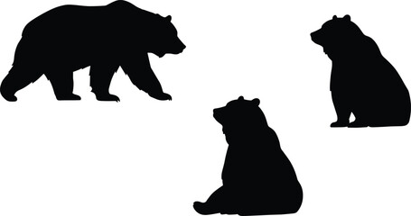 Silhouette collection of three bears in different poses, walking bear, sitting bear, wildlife animal illustration for nature and forest