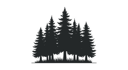 a cluster of tall pine trees standing together in forest