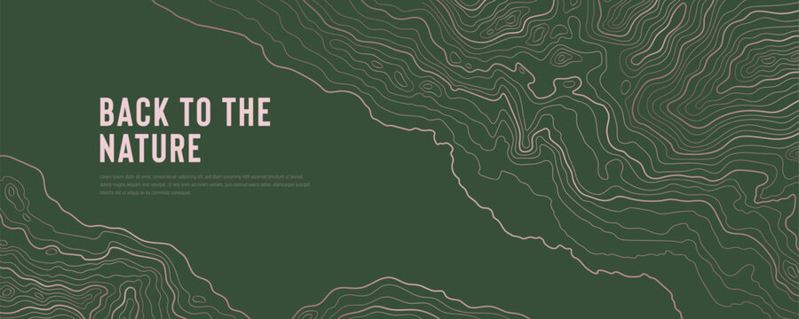 Green Topographic Map Background with Abstract Contour Line Pattern.