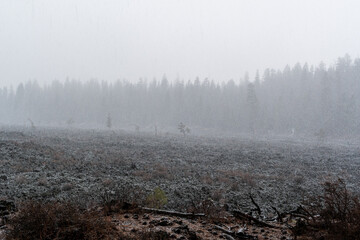 Snowfall Over Lava Cast Forest Trail, Newberry National Volcanic Monument, Oregon, USA