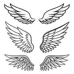 Obraz premium Illustration showing three sets of stylized wings with varying feather arrangements and line details