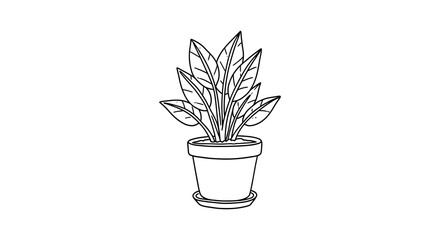 a simple sketch of a potted plant with long leaves
