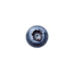 fresh blueberries png, ripe blueberries png, juicy blueberries png, organic blueberries png, sweet blueberries png, healthy blueberries png, natural blueberries png, realistic blueberries png, glossy