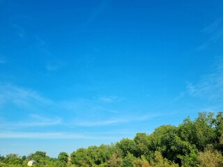 Obraz premium Background view of blue sky with mangrove trees copy space in Indonesia