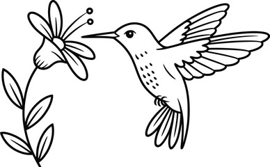 Obraz premium Hummingbird Feeding on a Flower