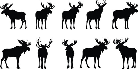 Moose silhouette set with antlers, wildlife animal vector illustration, forest nature design, black hunting graphic, mammal shape collection, elk