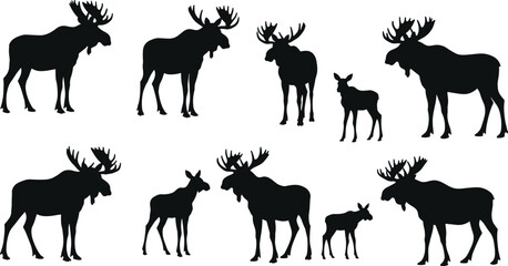 Moose silhouette collection with antlers, adult moose and calf design, wildlife animal vector illustration, forest nature graphic, hunting symbol