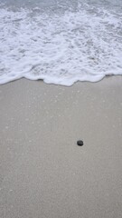 Ocean wave washing sandy beach with stone for coastal nature photography
