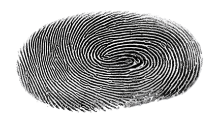 Fingerprint Identification: A close-up image reveals the intricate patterns of a unique fingerprint, highlighting its individual ridges and swirls as a symbol of identity and security. 