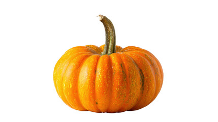 Obraz premium A single orange pumpkinTransparent background, PNG file