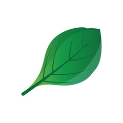 Green Leaf logo vector natural plant nature design icon leaf template illustration