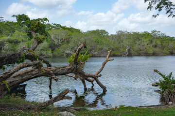 Orange Walk, Belize - May 30, 2025: View of the New River as it passes through Orange Walk in Northern Belize.
