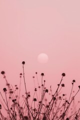 Silhouettes of wildflowers against a soft, pastel pink sunset sky.