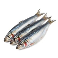 Fototapeta premium Fresh Sardines Still Life A Trio of Shiny Fish on White Backdrop, Ready for Culinary Use