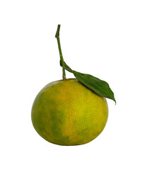 fresh tangerine fruit with leaf isolated
