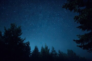 Starry night over a dark forest