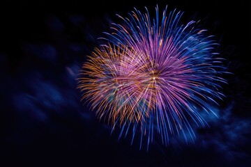 Fototapeta premium Colorful firework burst against dark sky
