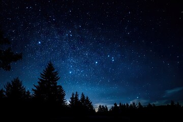 Fototapeta premium Night sky with Milky Way over silhouetted trees