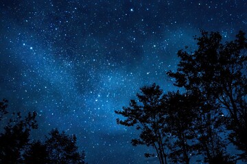 Naklejka premium Night sky, Milky Way, trees