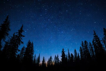 Dark silhouettes of pines against a vibrant night sky filled with stars