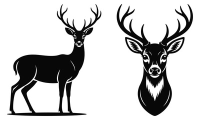 silhouette of a deer