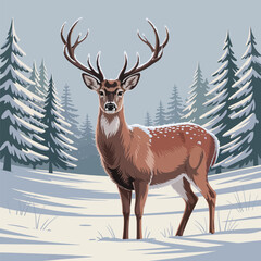 deer in the snow