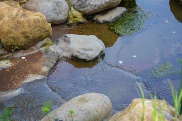 Close-up of a small pond or stream with clear water flowing over and around various smooth rocks. The scene evokes a sense of peace and natural tranquility, perfect for backgrounds.