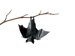 A black origami bat hanging upside down from a branch against a white background.