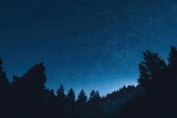 Starry night over a dark forest (1)