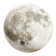 Full moon, light gray, cratered surface