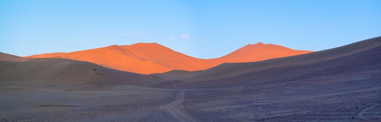 Fototapeta premium A panoramic view of the vast Medanoso dune landscape near Copiapo, Chile