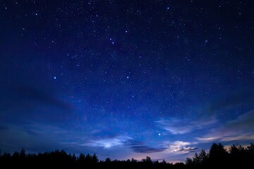 Starry night sky over a dark forest