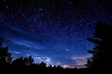 Naklejka premium Starry night sky over silhouetted trees