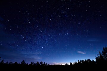 Naklejka premium Starry night sky over dark forest (9)