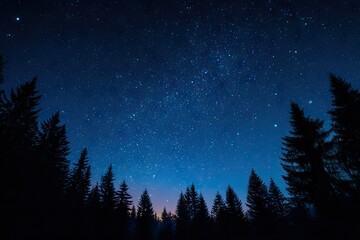 Dark forest silhouettes against a night sky full of stars