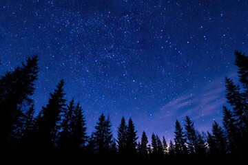 Starry night over a dark forest (6)