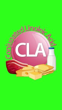 Conjugated Linoleic Acid Sources Animation on Green Screen