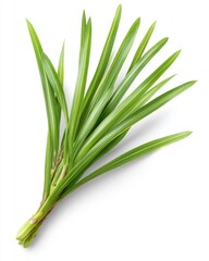 Obraz premium Fresh, vibrant bunch of long, slender green leaves