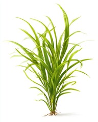 Fototapeta premium Bright green grass cluster