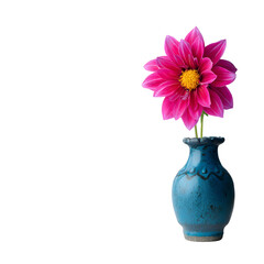 Elegant pink dahlia blossom in a blue vase against a stark black background