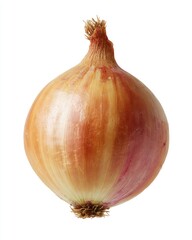 Fototapeta premium Single onion, light gold and tan, with pinkish hues