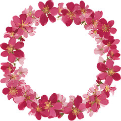 Elegant floral wreath composed of pink blossoms against a stark black background