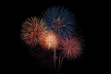 Colorful fireworks burst against a black background