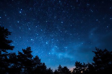 Fototapeta premium Starry night sky above dark silhouettes of trees