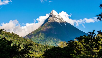 Fototapeta premium Spectacular view of snow-capped peak, surrounded by lush vegetation