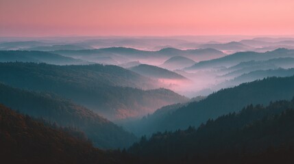 Naklejka premium The Layered Fog Over Forest Hills at Dawn